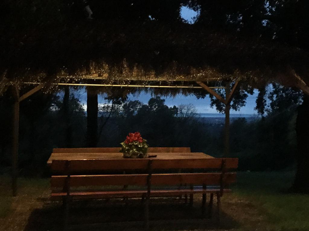Agriturismo Colle Donatucci Guest House กัสตาลเญโต การ์ดุชชี ภายนอก รูปภาพ